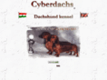 cyberdachs.hu