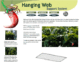 hangingweb.com