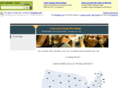 limousinedeals.net