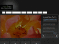 lunasdbodamadrid.com