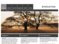 bynovation.biz