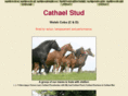 cathael.com