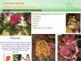 constant-spring.com