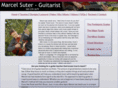 guitarlessonsolympia.net