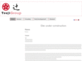 tsujigroup.com