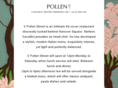 5pollenst.com