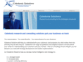 caledoniasolutions.com