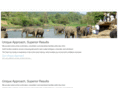 wizardsofindia.com