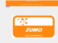 zumo-it.com