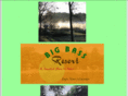 bigbasslakeresort.com