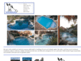 brooksidepools.com