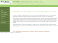 childwiseconsultingservices.com