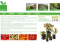 hadopots.co.uk