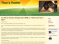 thorshealth.com