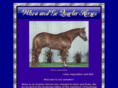 whoaandgoquarterhorses.com