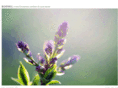 bl4ckphoto.com