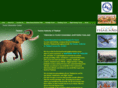 chiangmaitic.com