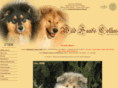 wild-heads-collies.de