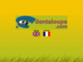 dentaloupe.com