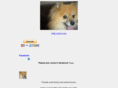 helpjunior.com