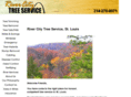 rivercitytreeservice.com