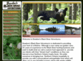 beadowsblackbearadventures.com