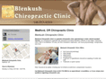 blenkushchiropractic.com