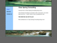 clearspringconsulting.com