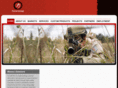 forzagrp.com
