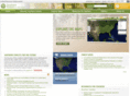 seesouthernforests.org
