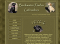 backwatertimberlabradors.com