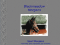 blackmeadowmorgans.com