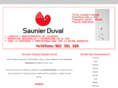 serviciotecnicosaunierduval.es