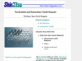shinetsumagnetics.com