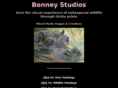 bonneystudios.com