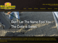 lemonconcrete.com