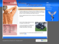 pennychiropractic.com