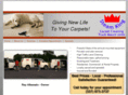 steamkingcarpet.com