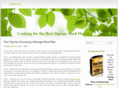 storageshedplansblog.com