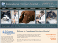 canandaiguavet.com