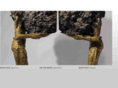 naturemorte.com
