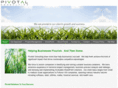 pivotalconsults.com