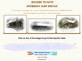 adirondacksrentals.com