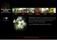 bestbloomsflorist.com