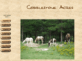 cobblestoneacres.com