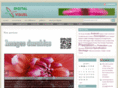 digital-visuel.org