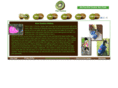 kiwicouture.com