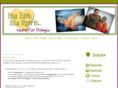 biglifebigspirit.com