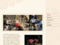 cottagewayoflife.com