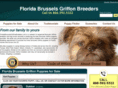 floridabrusselsgriffonbreeders.com